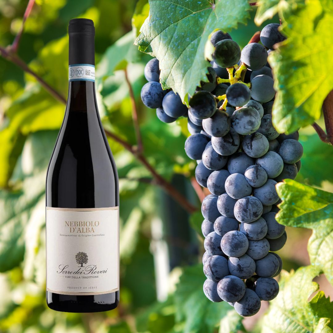 Sierre Dei Roveri Nebbiolo d'Alba DOC