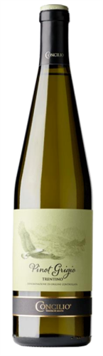 Concilio Pinot Grigio Trentino